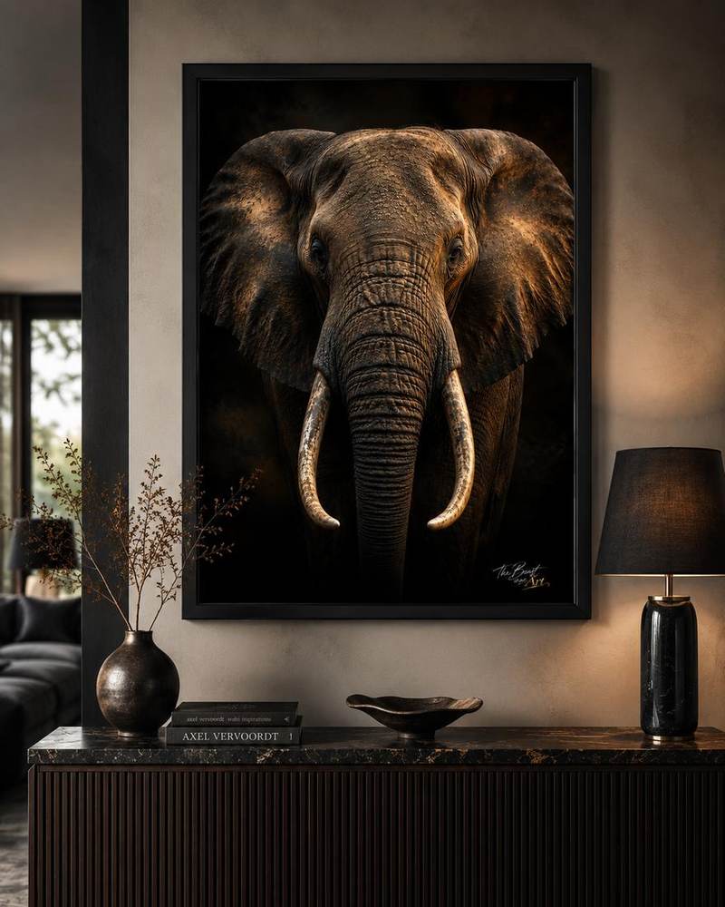 Elephant — framed