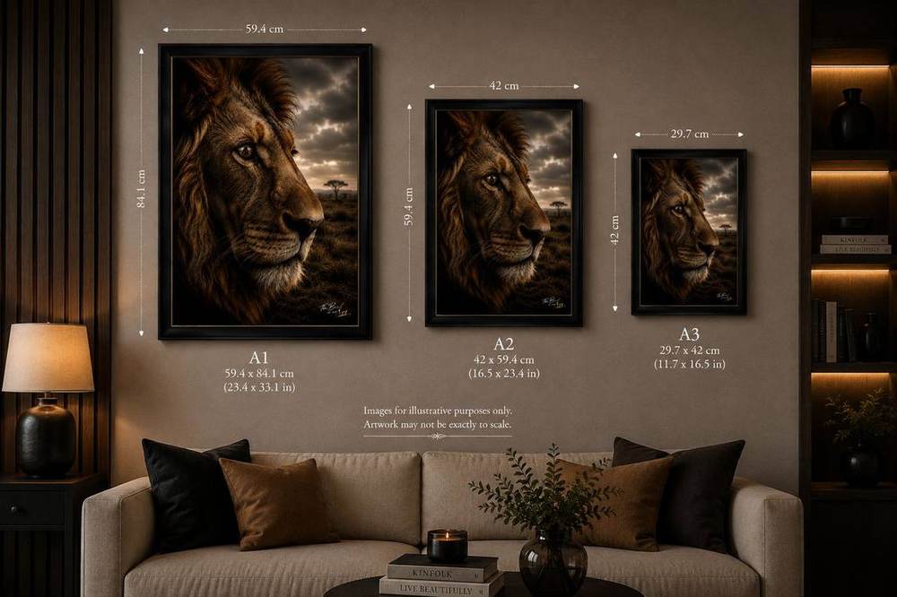 Reflection — size reference